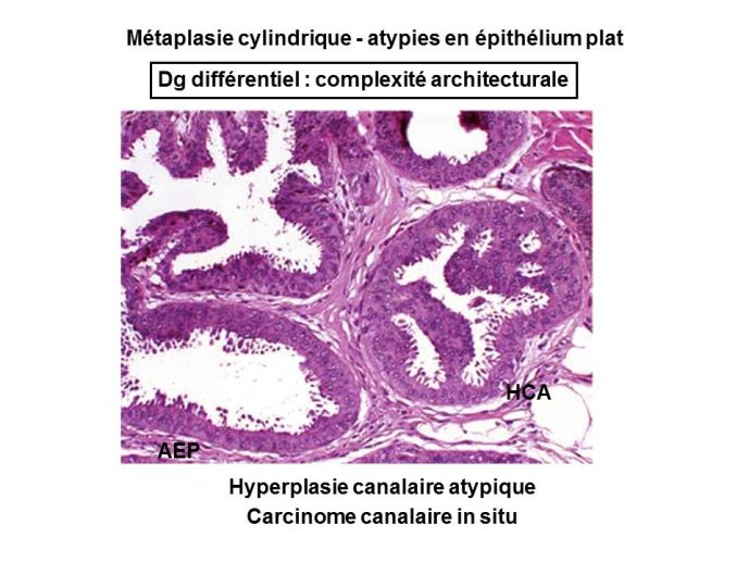 Diapositive12