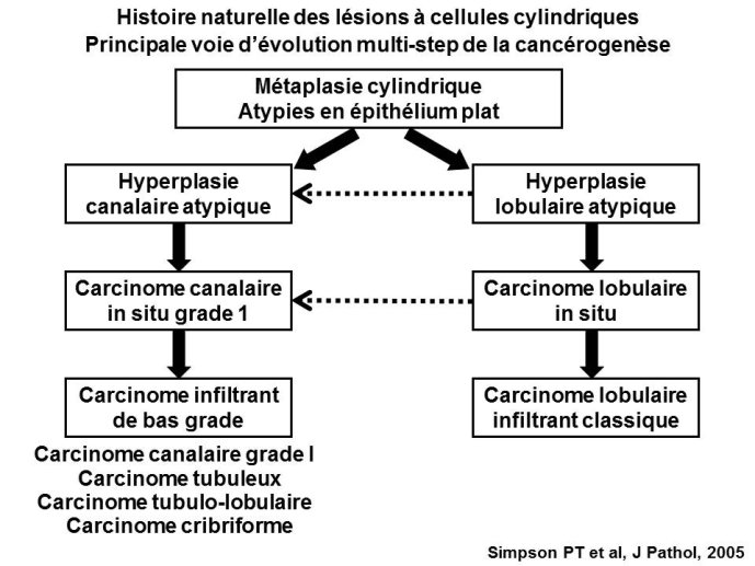 Diapositive19