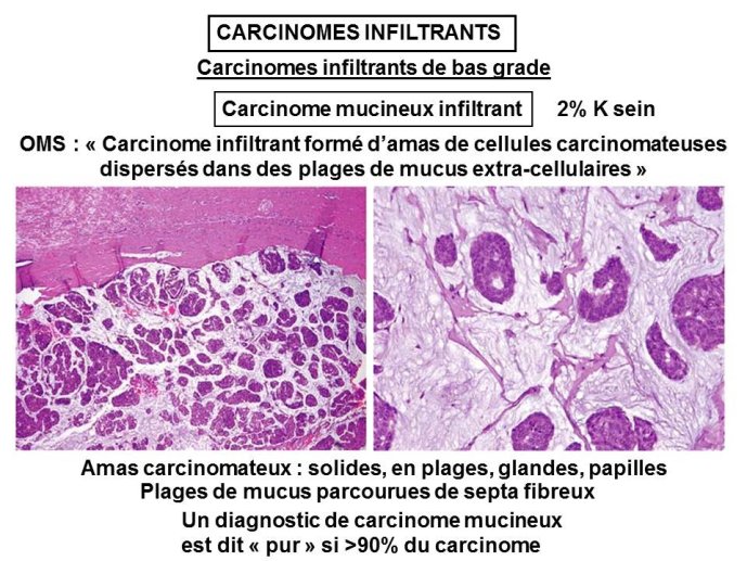 Diapositive40