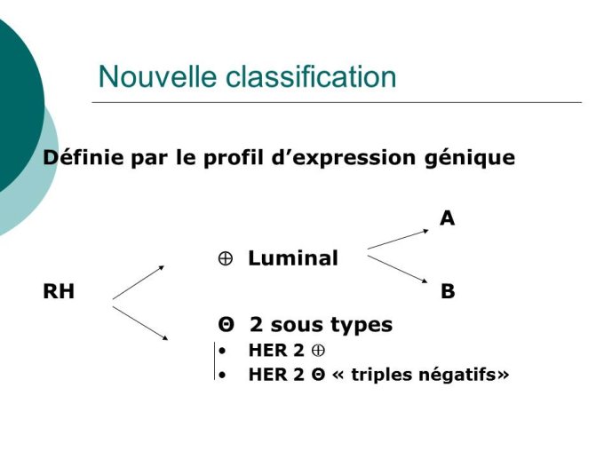Diapositive16