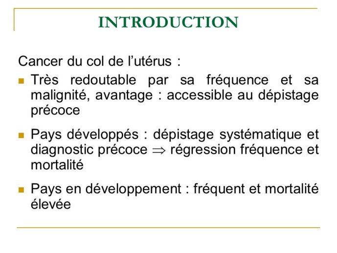 Diapositive3