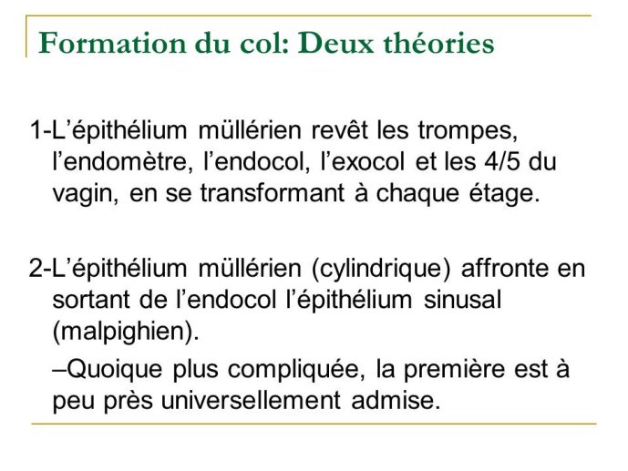 Diapositive11