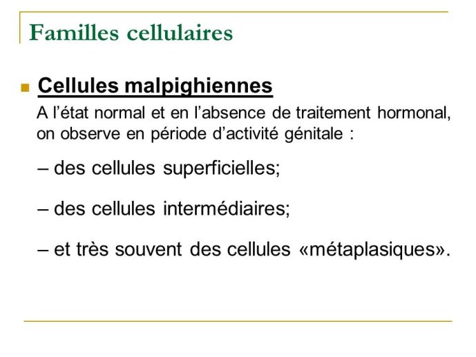 Diapositive15