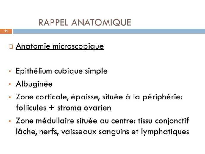 Diapositive11