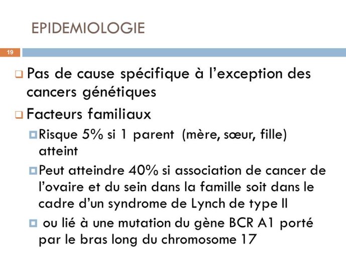 Diapositive19