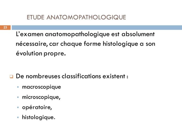 Diapositive23