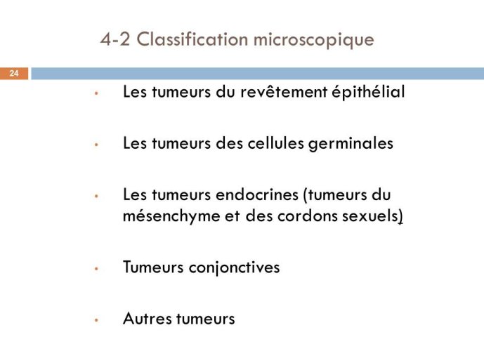 Diapositive24