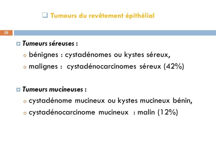 Diapositive25