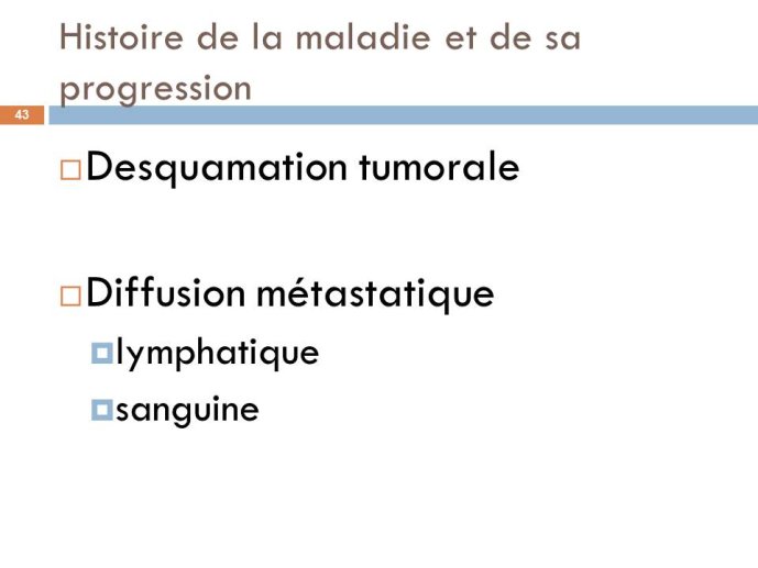 Diapositive43