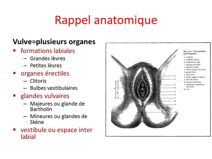 Diapositive6