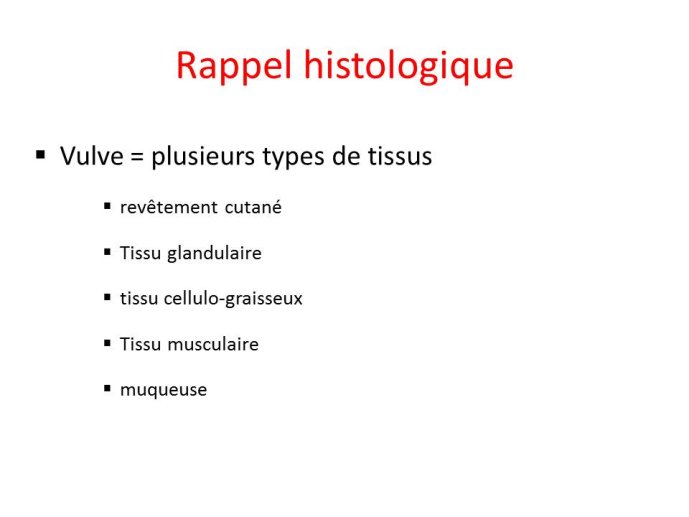 Diapositive7