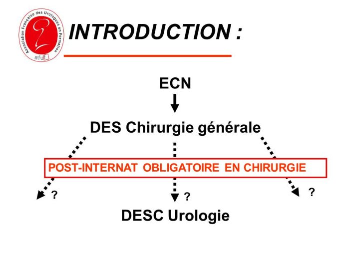 Diapositive2
