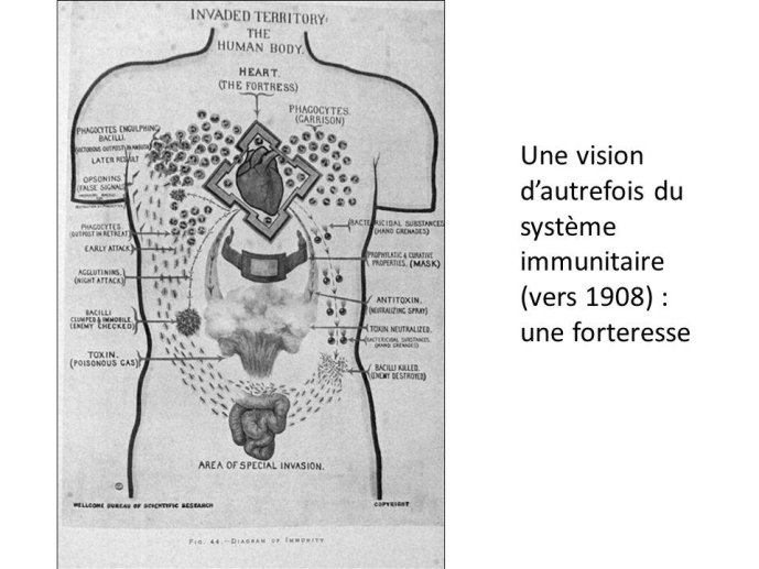 Diapositive11