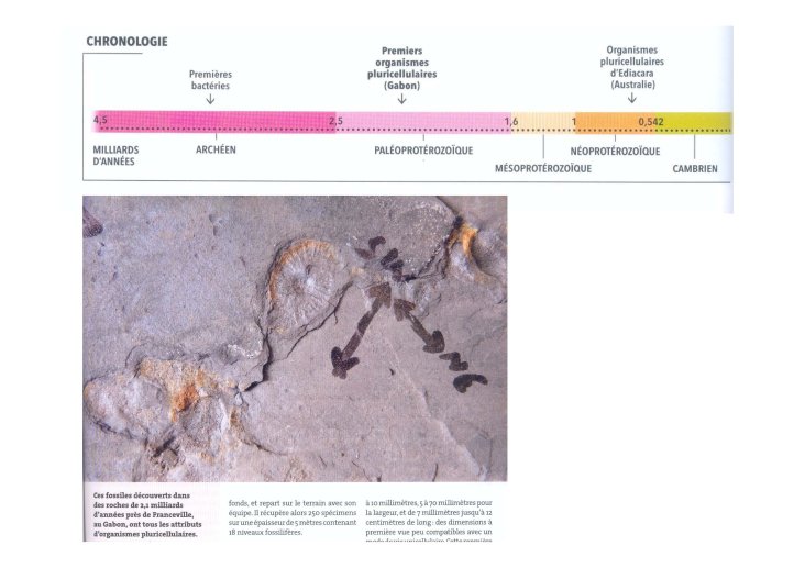 Armenti%C3%A8res_janvier2012_Page_45