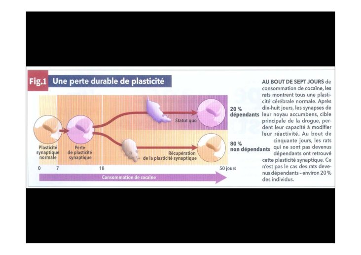 Armenti%C3%A8res_janvier2012_Page_50