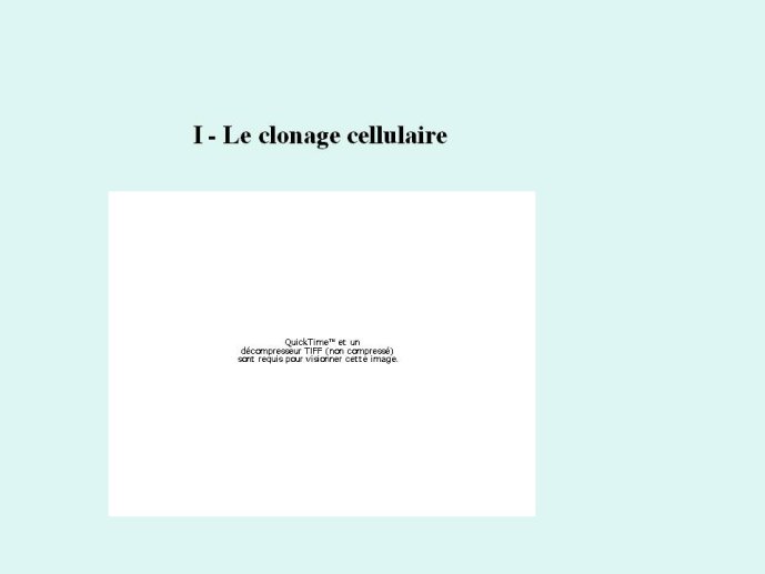 Diapositive04