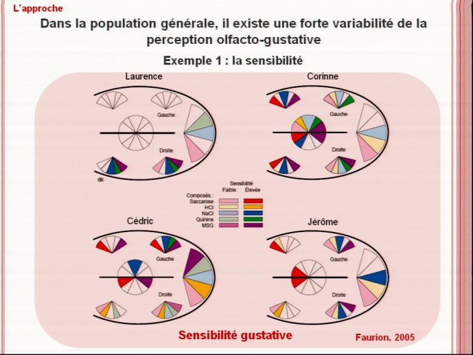 slide_0011_full