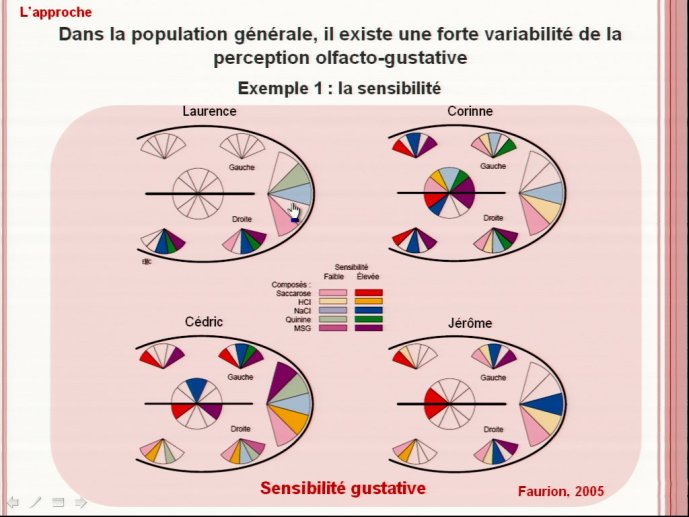 slide_0013_full