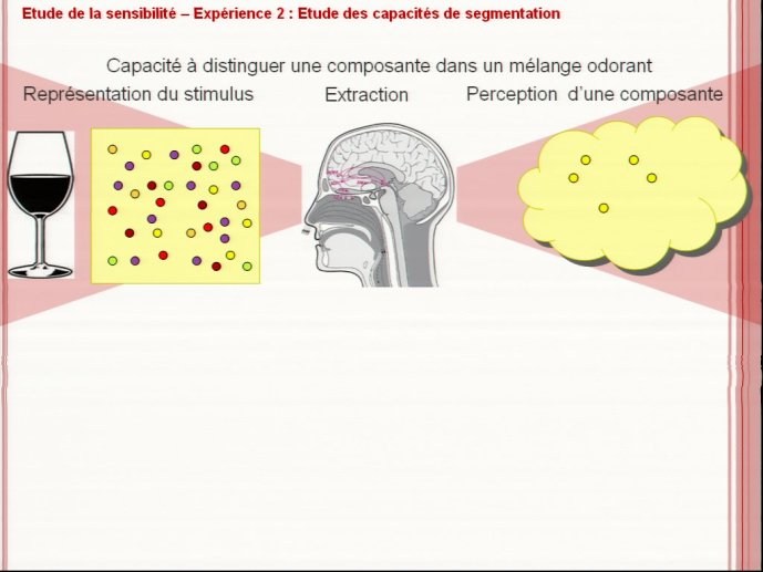 slide_0093_full