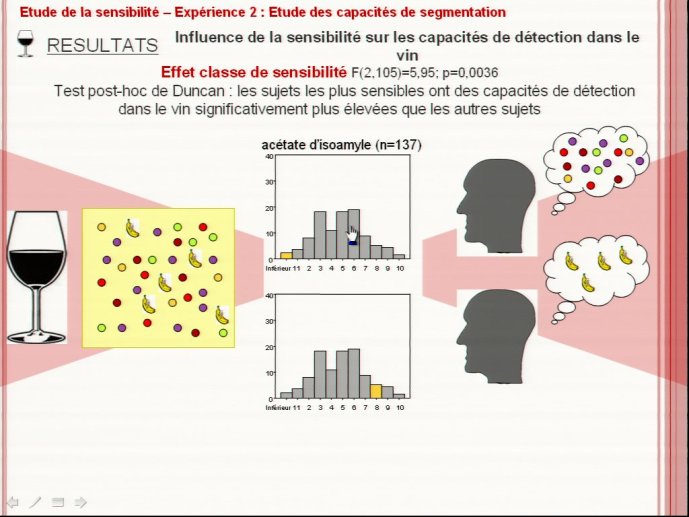 slide_0111_full