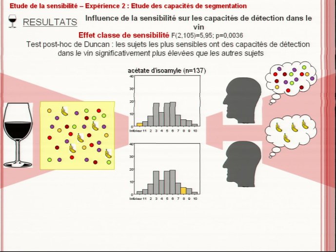 slide_0113_full