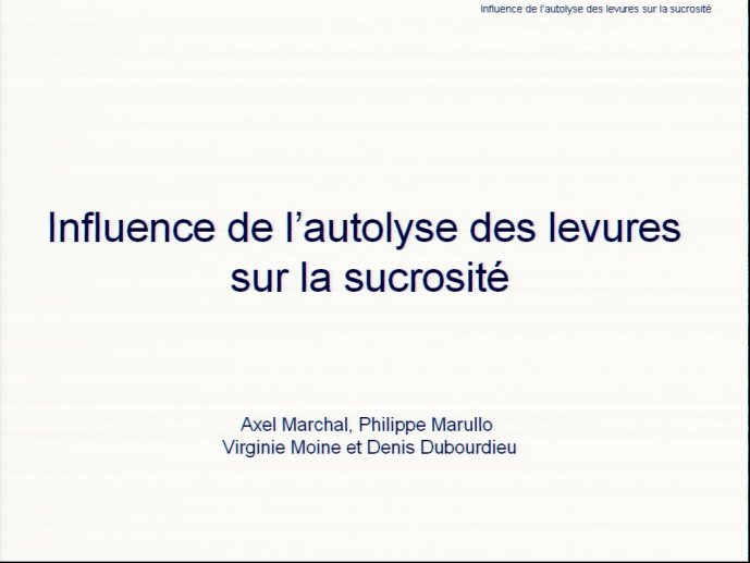 slide_0011_full