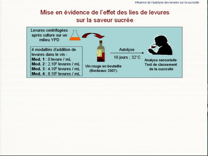 slide_0013_full