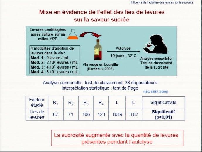 slide_0015_full