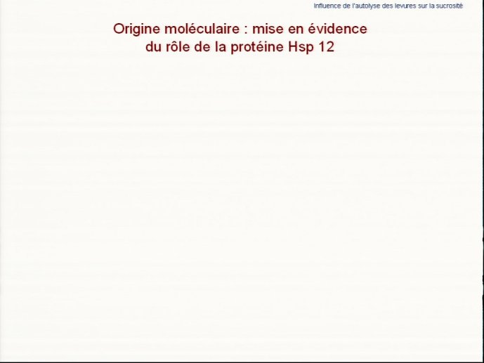 slide_0016_full