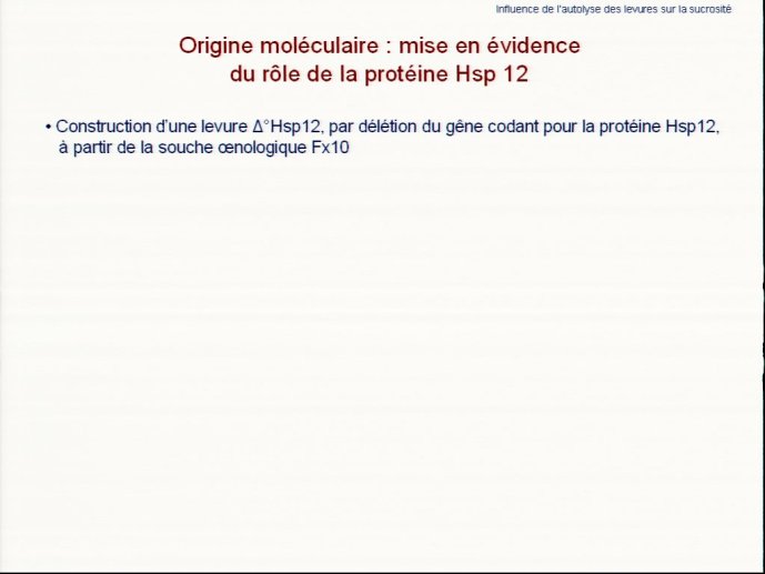 slide_0017_full