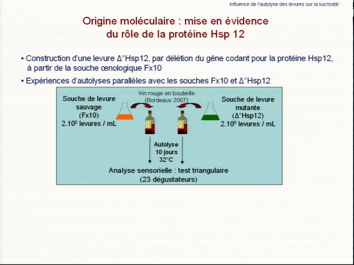 slide_0018_full