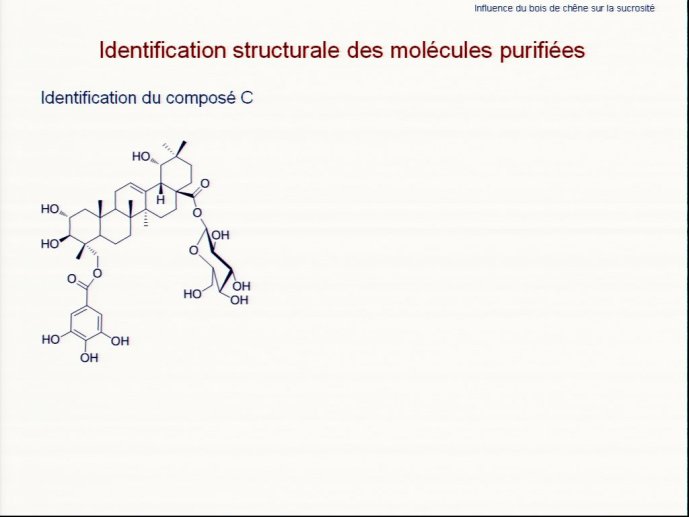 slide_0045_full