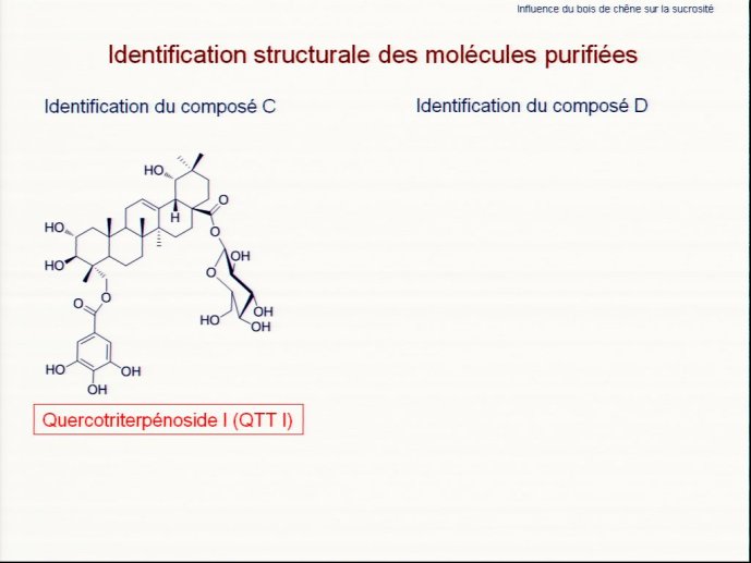 slide_0048_full