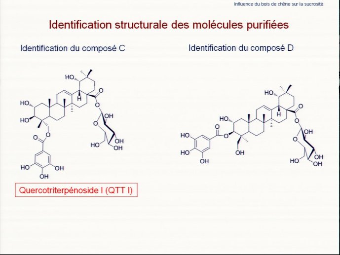 slide_0049_full