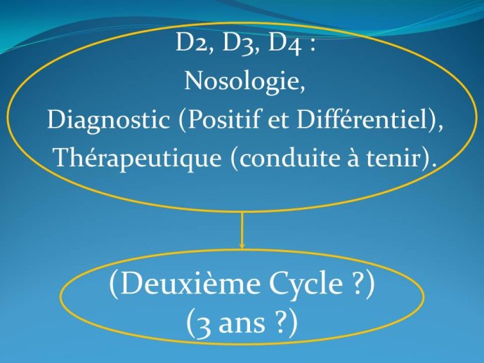 Diapositive5