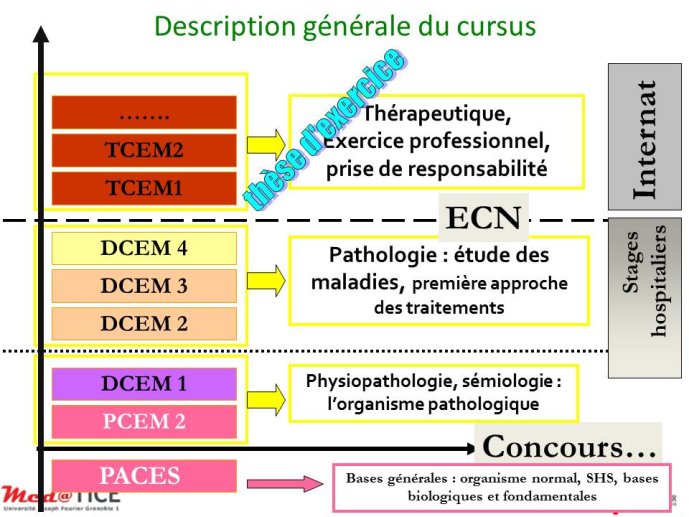 Diapositive7