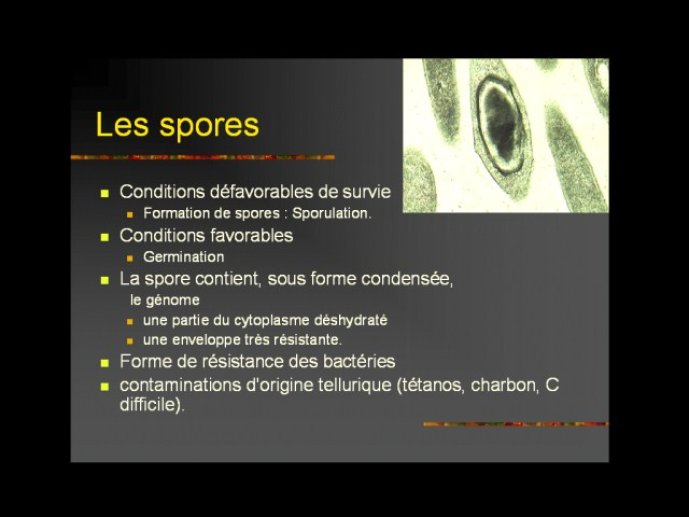 denes_diapositive_38.jpg
