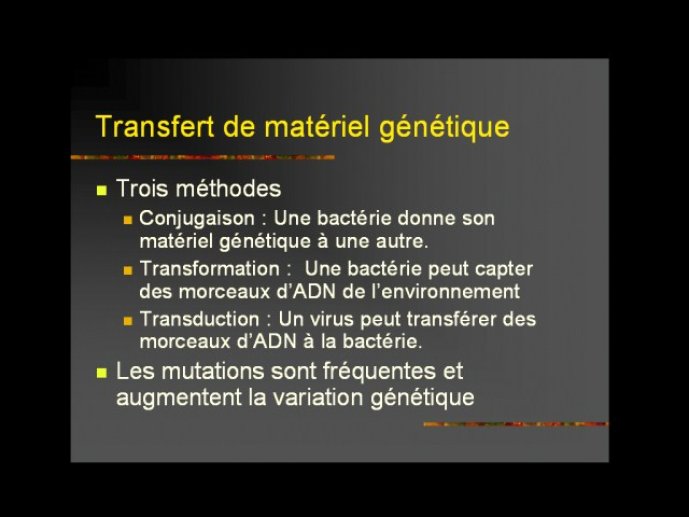 denes_diapositive_42.jpg