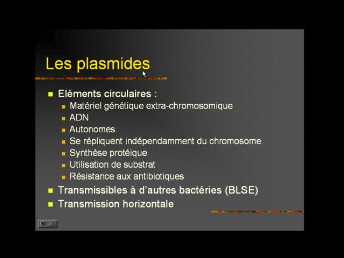 denes_diapositive_47.jpg