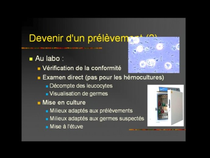 denes_diapositive_56.jpg