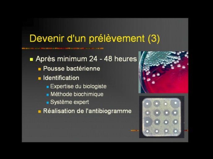 denes_diapositive_57.jpg