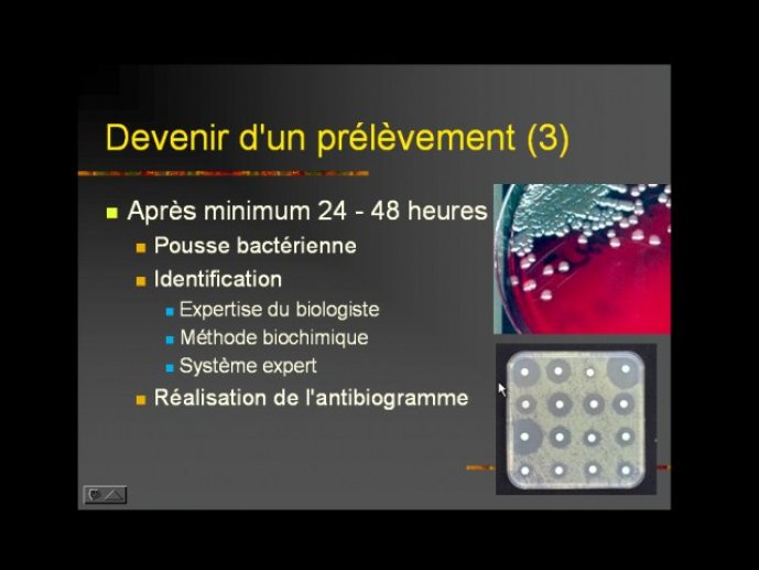 denes_diapositive_60.jpg