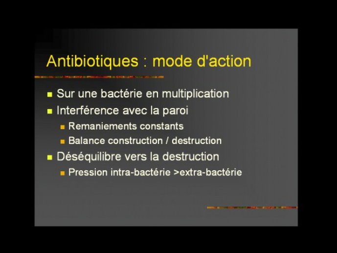 denes_diapositive_67.jpg