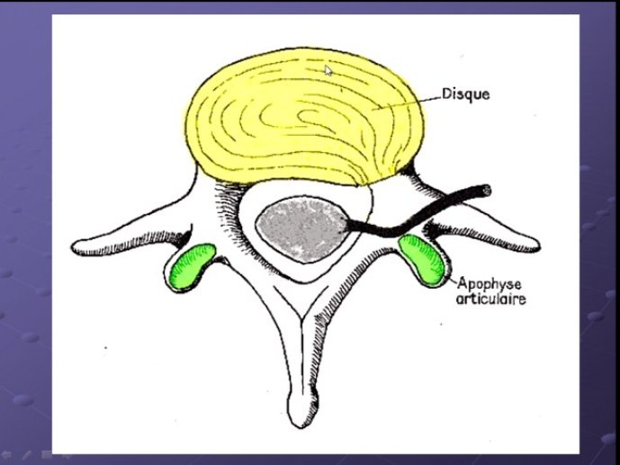 diapositive6.jpg