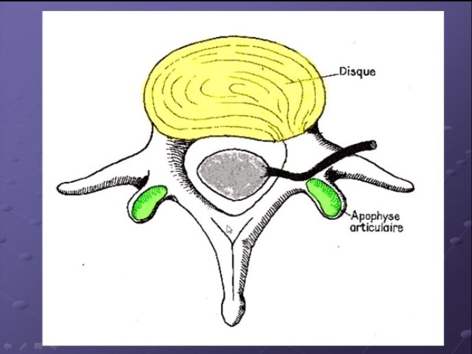 diapositive7.jpg