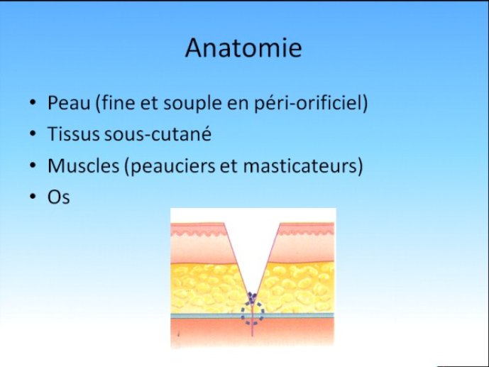 diapositive5.jpg