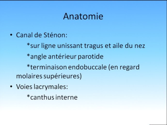 diapositive9.jpg