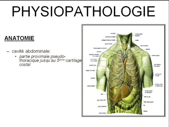 diapositive5.jpg