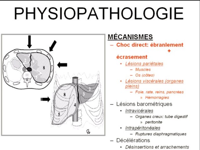 diapositive6.jpg