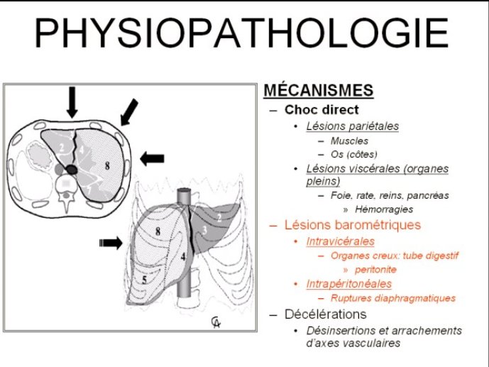 diapositive7.jpg